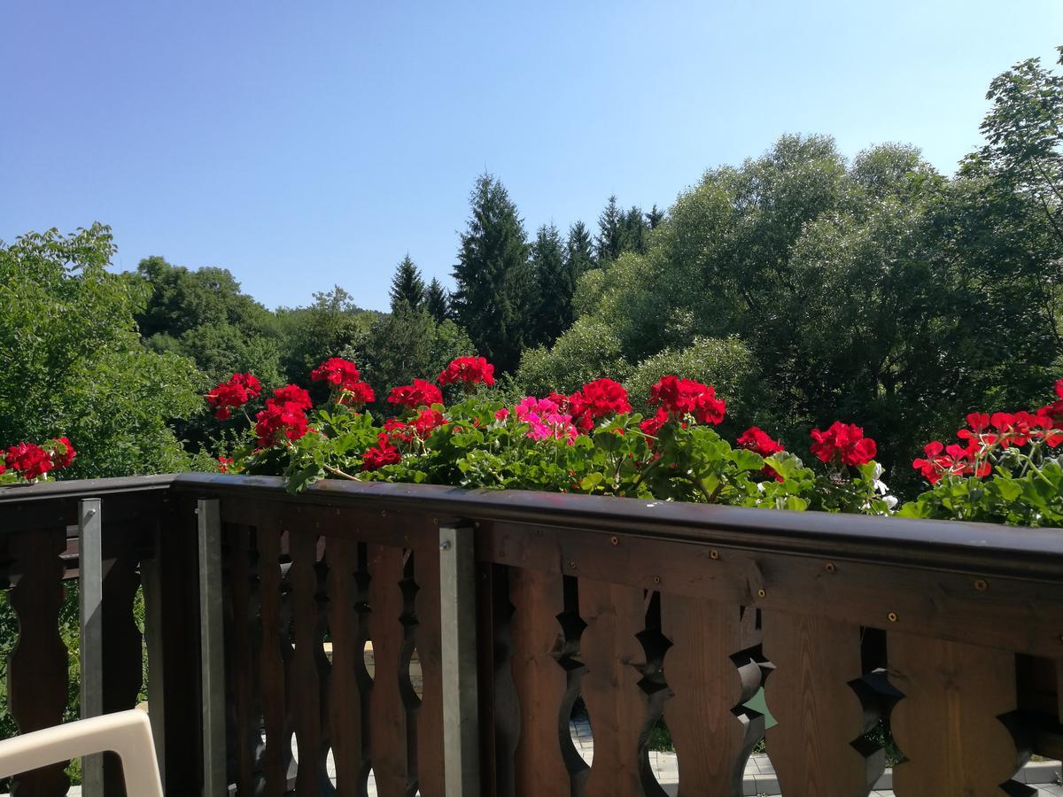 Resort Park Izvorite 3*